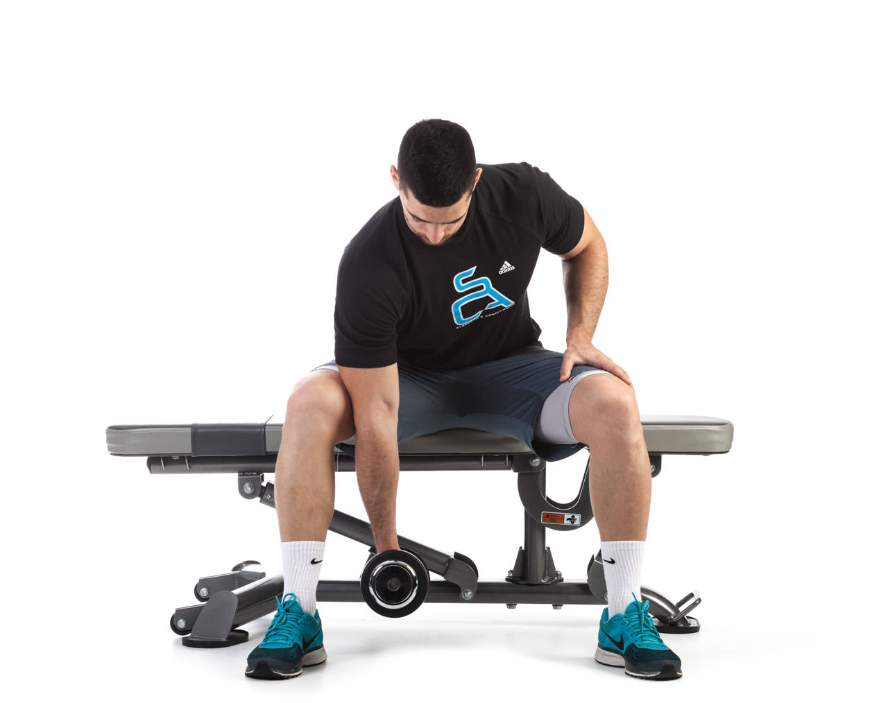 Seated Dumbbell Concentration Curl frame #1