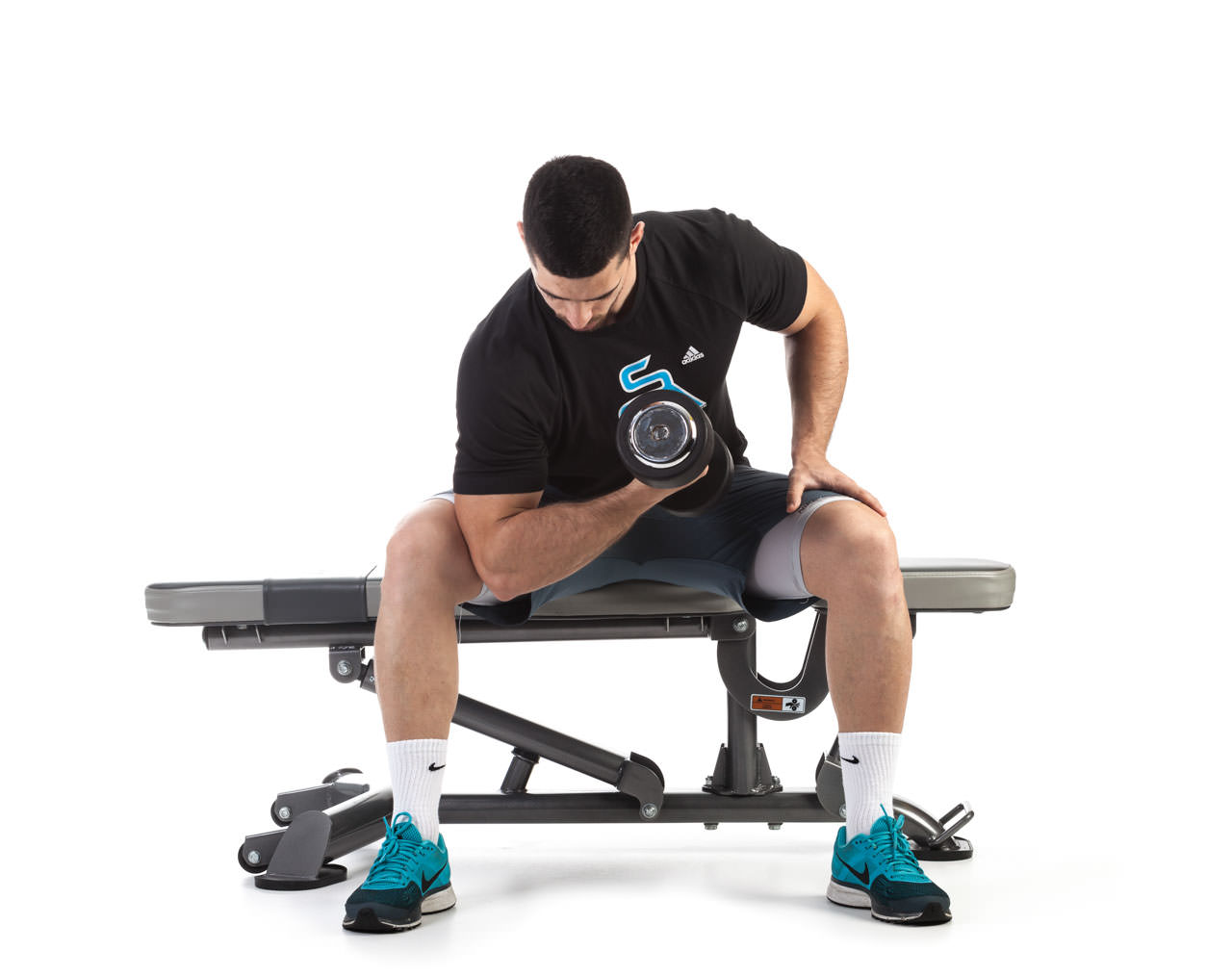 Seated Dumbbell Concentration Curl frame #2