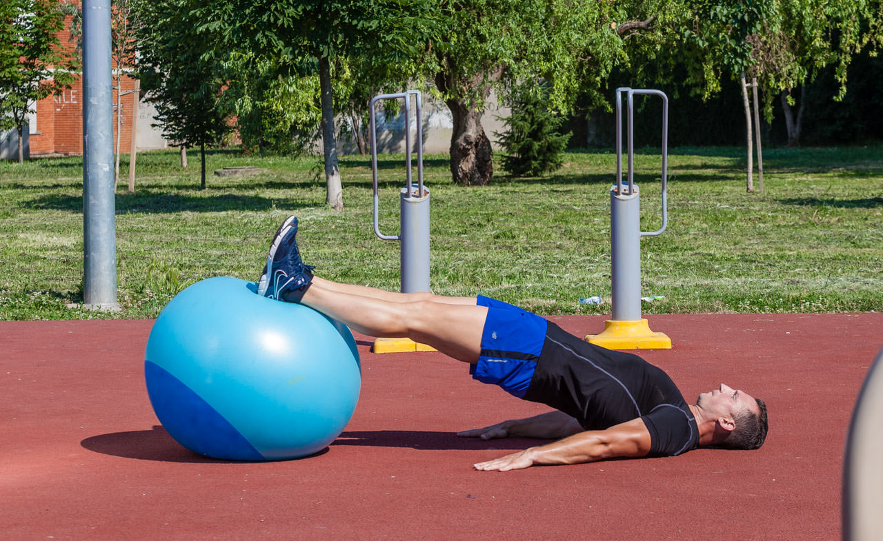 Swiss Ball Reverse Plank frame #2