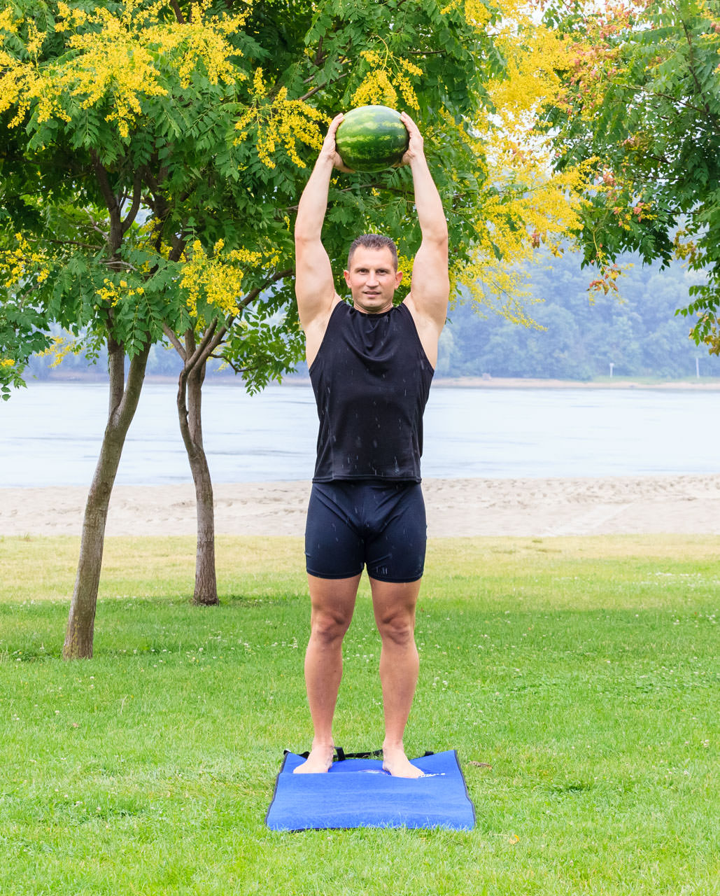 Watermelon Lunge with Torso Rotation frame #5